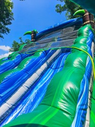 7067786367368264680 1754926062 18' Tropical Racer Dual Lane Waterslide