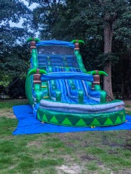 18' Tropical Racer Dual Lane Waterslide