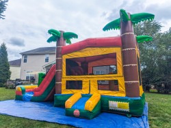 PXL 20250803 181155370.MP 1754926811 Jungle Bounce House Slide Combo (Wet or Dry)