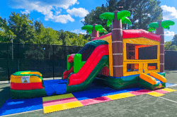 Jungle Bounce House Slide Combo (Wet or Dry)