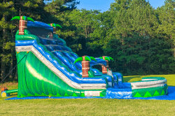 18' Tropical Racer Dual Lane Waterslide